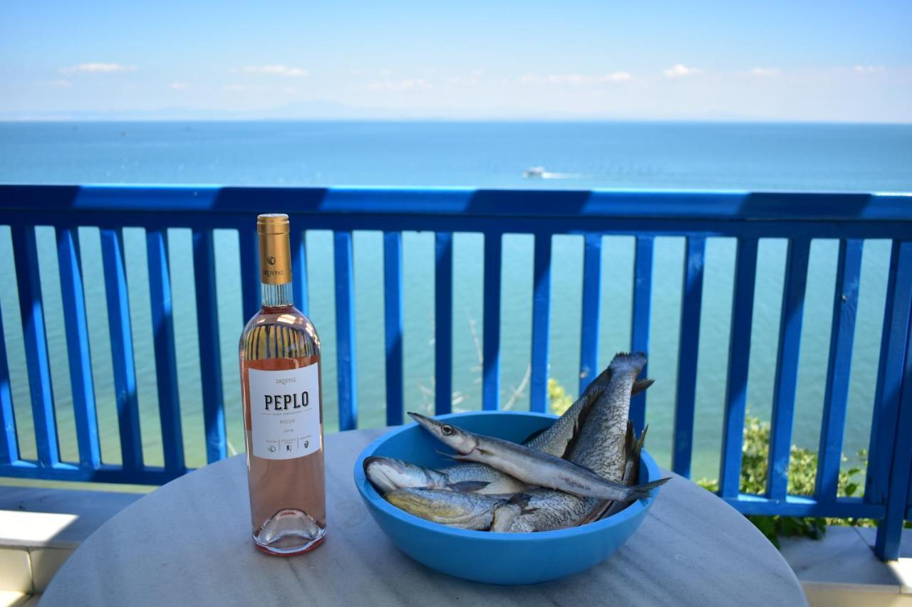 Navy Greece Villa With Swimming Pool & Sea View Makrygialos Zewnętrze zdjęcie